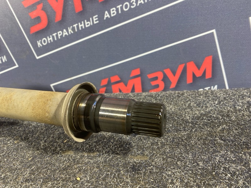 Привод, 15000 рублей, Солонцы