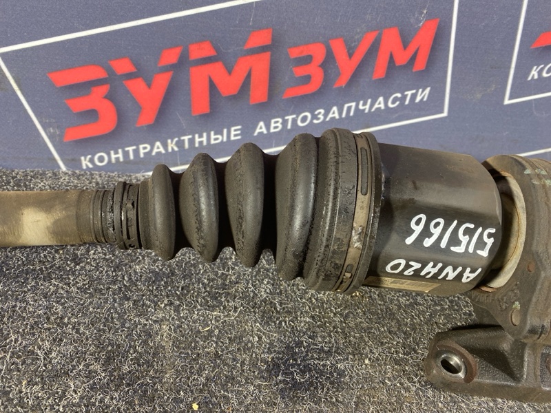 Привод, 15000 рублей, Солонцы