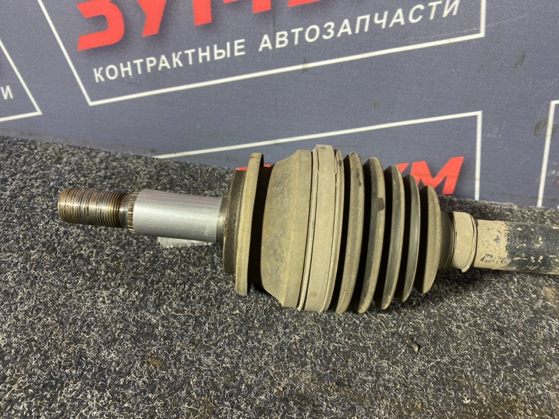 Привод, 15000 рублей, Солонцы