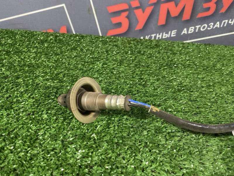 Датчик кислородный, 2500 рублей, Солонцы