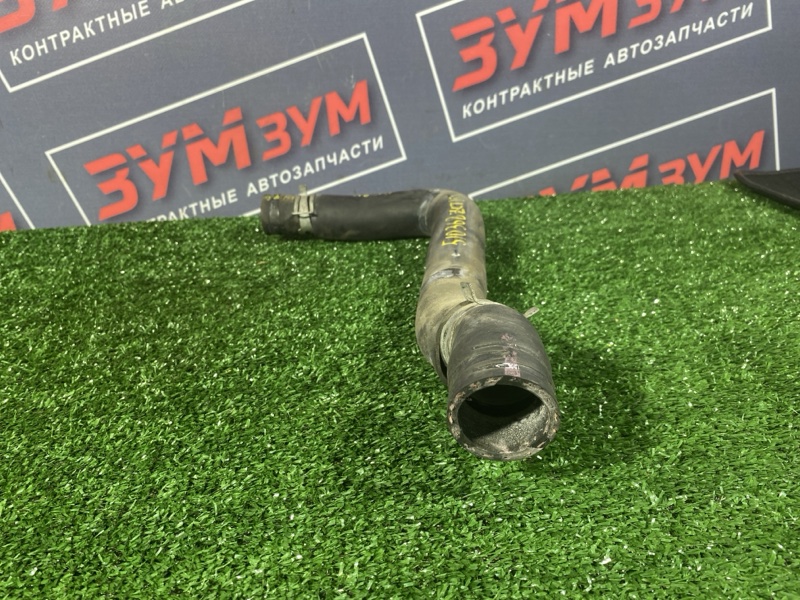 Патрубок радиатора, 1500 рублей, Солонцы