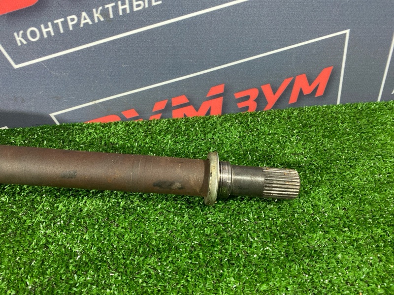 Привод, 5000 рублей, Солонцы
