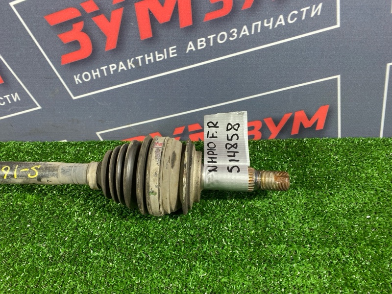 Привод, 7000 рублей, Солонцы