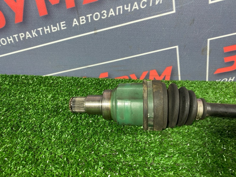 Привод, 5000 рублей, Солонцы