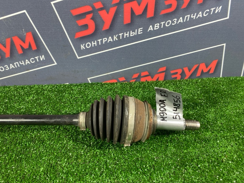 Привод, 5000 рублей, Солонцы