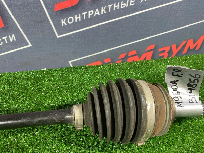 Привод, 5000 рублей, Солонцы