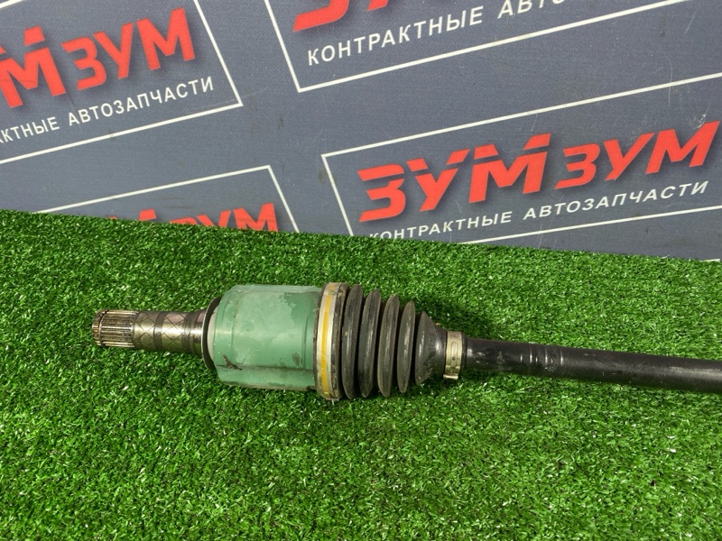 Привод, 9000 рублей, Солонцы