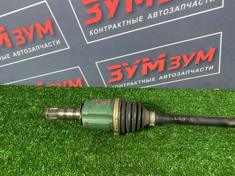 Привод, 9000 рублей, Солонцы