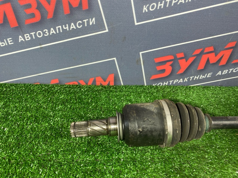 Привод, 1200 рублей, Солонцы
