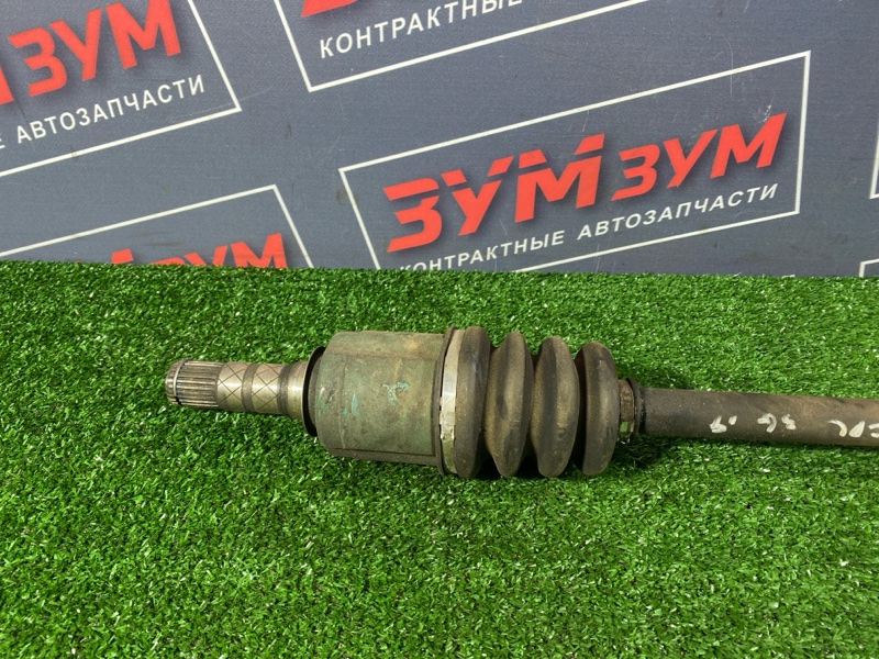 Привод, 5000 рублей, Солонцы