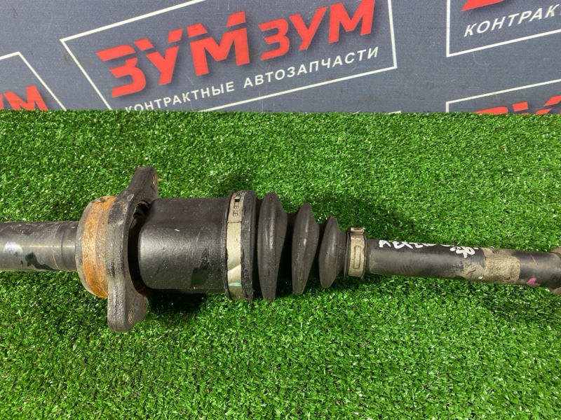 Привод, 5000 рублей, Солонцы