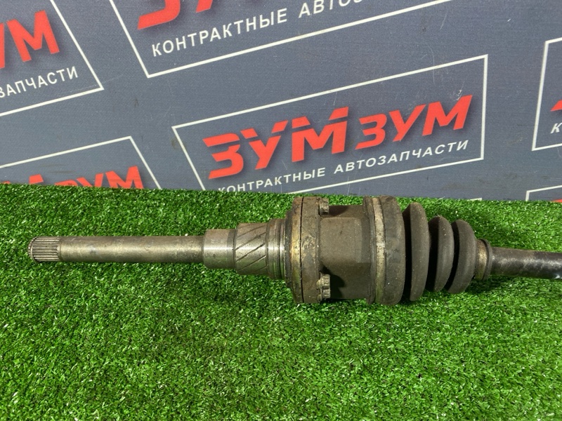 Привод, 6000 рублей, Солонцы