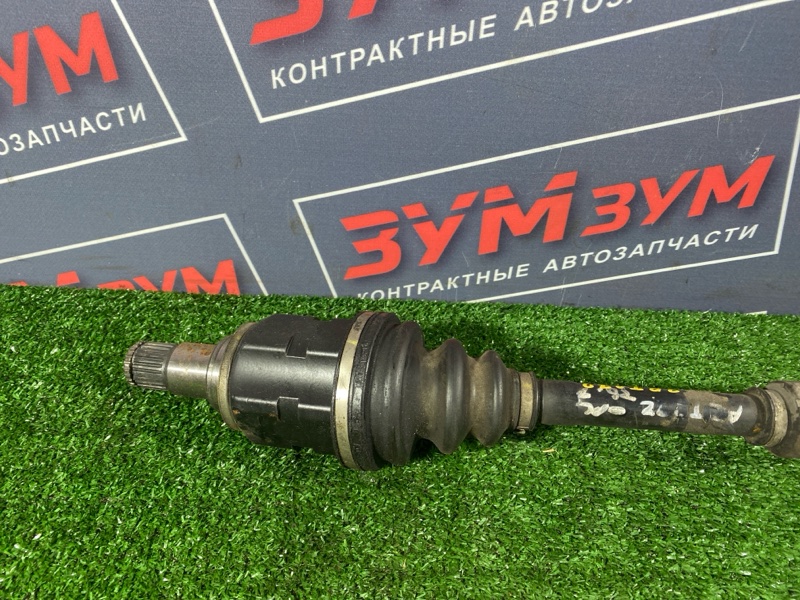 Привод, 4000 рублей, Солонцы