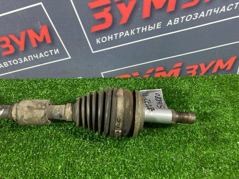 Привод, 4000 рублей, Солонцы