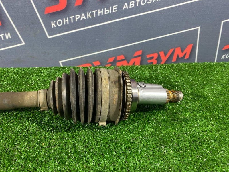 Привод, 4400 рублей, Солонцы