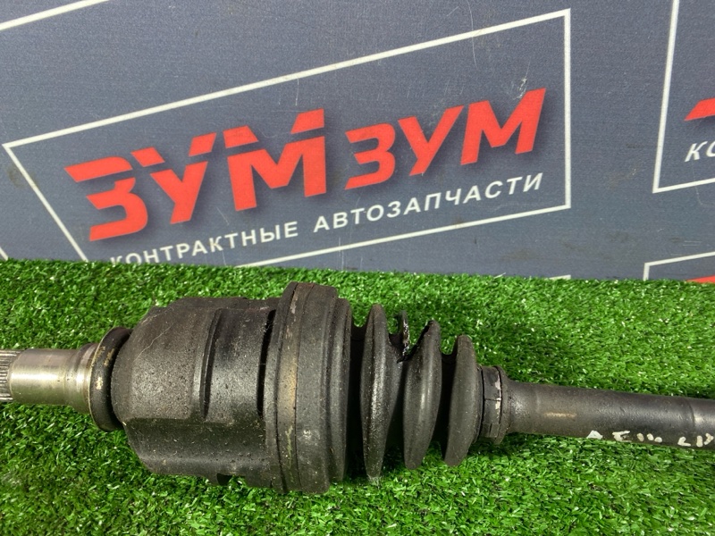 Привод, 6000 рублей, Солонцы