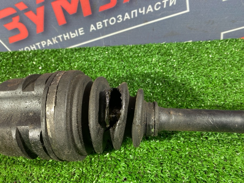 Привод, 6000 рублей, Солонцы