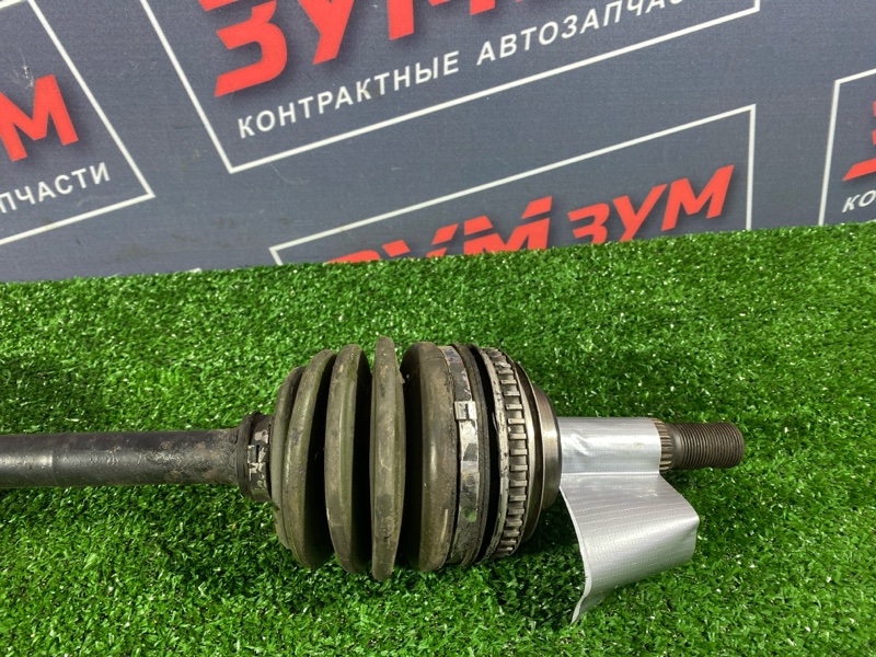 Привод, 6000 рублей, Солонцы