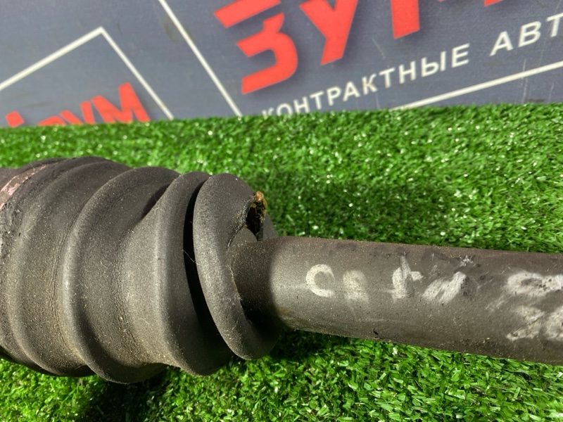 Привод, 2800 рублей, Солонцы