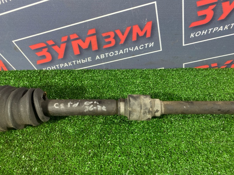 Привод, 2800 рублей, Солонцы