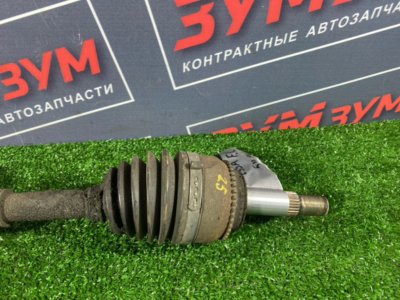 Привод, 2500 рублей, Солонцы