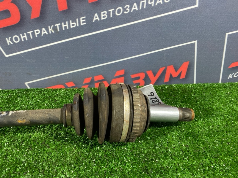 Привод, 5000 рублей, Солонцы