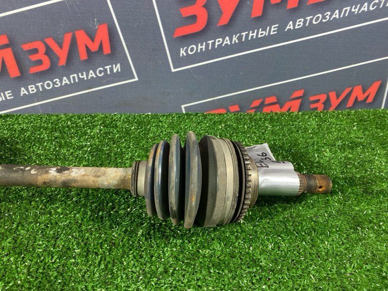 Привод, 3400 рублей, Солонцы