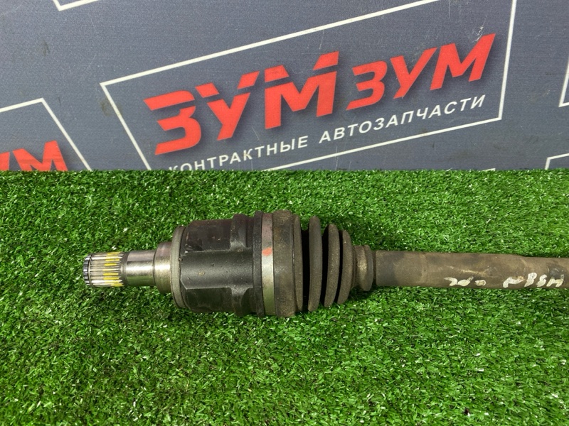 Привод, 2800 рублей, Солонцы