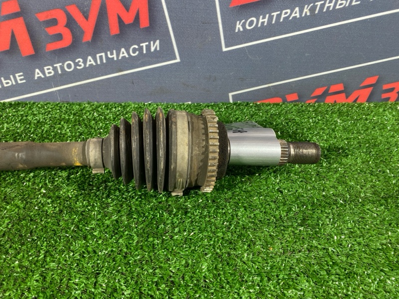 Привод, 2800 рублей, Солонцы