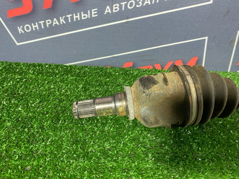 Привод, 3400 рублей, Солонцы
