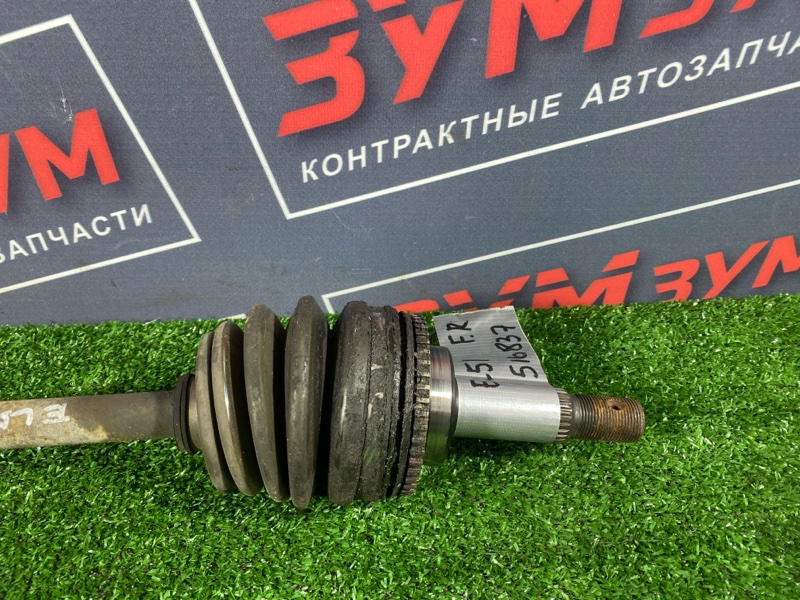 Привод, 3400 рублей, Солонцы