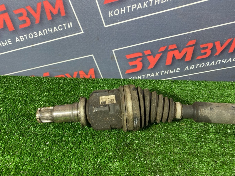 Привод, 2500 рублей, Солонцы