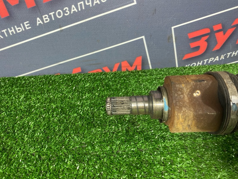 Привод, 2500 рублей, Солонцы