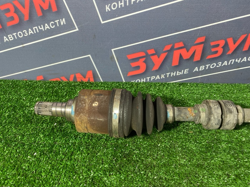 Привод, 2500 рублей, Солонцы