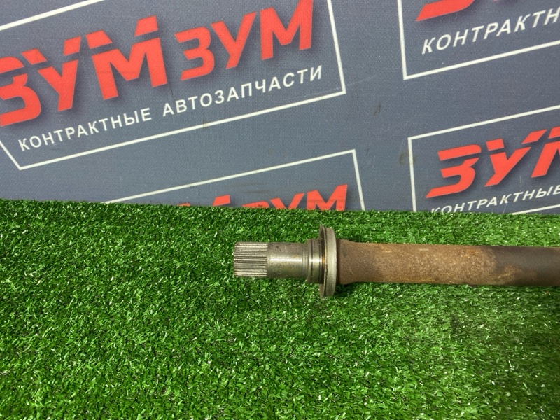 Привод, 12000 рублей, Солонцы