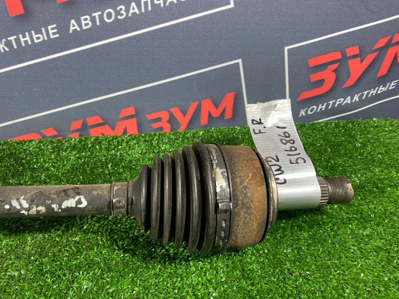 Привод, 12000 рублей, Солонцы