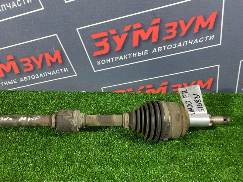 Привод, 3000 рублей, Солонцы