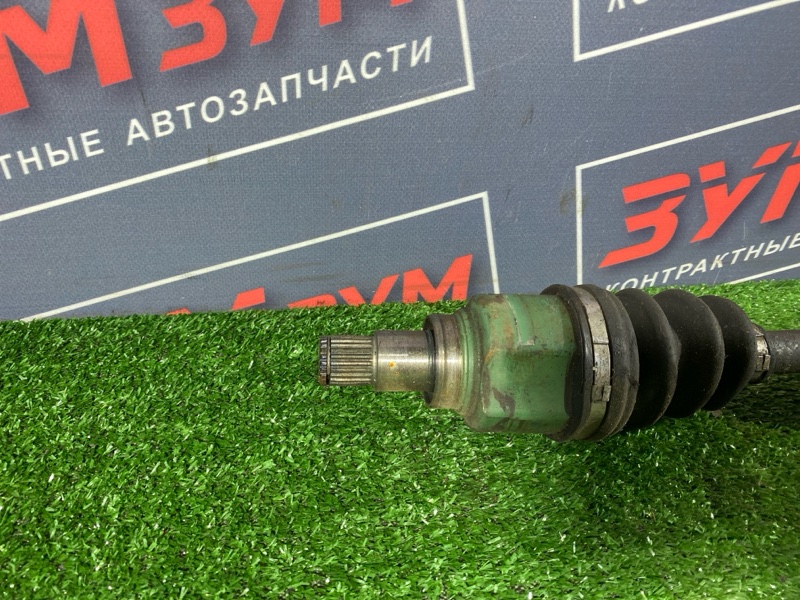 Привод, 2400 рублей, Солонцы