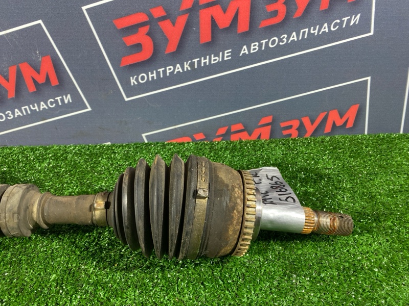 Привод, 8000 рублей, Солонцы