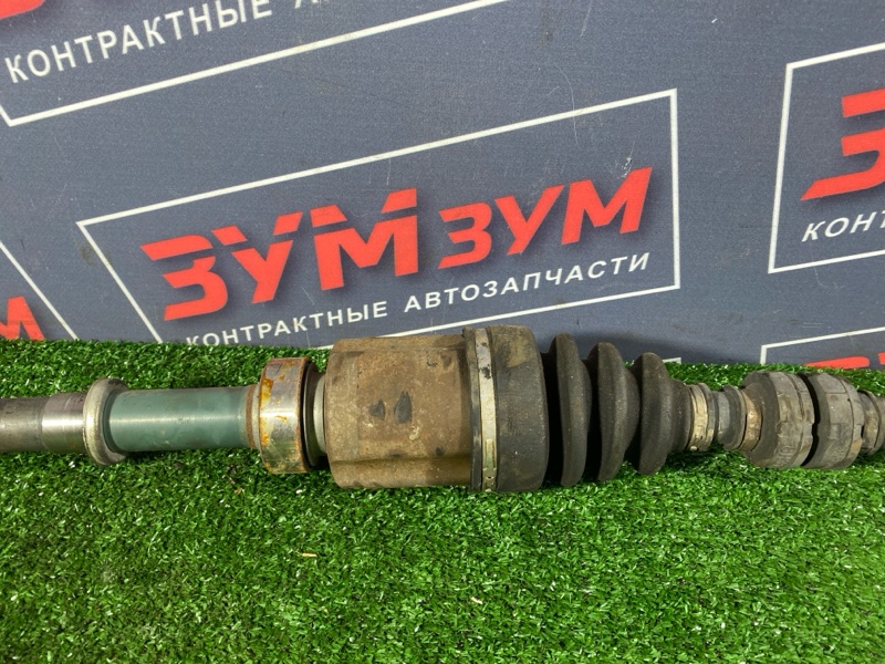 Привод, 11000 рублей, Солонцы