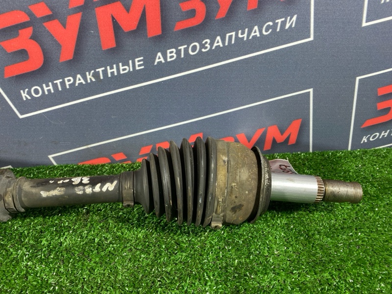 Привод, 11000 рублей, Солонцы