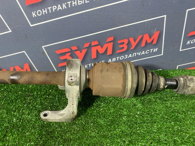 Привод, 12000 рублей, Солонцы