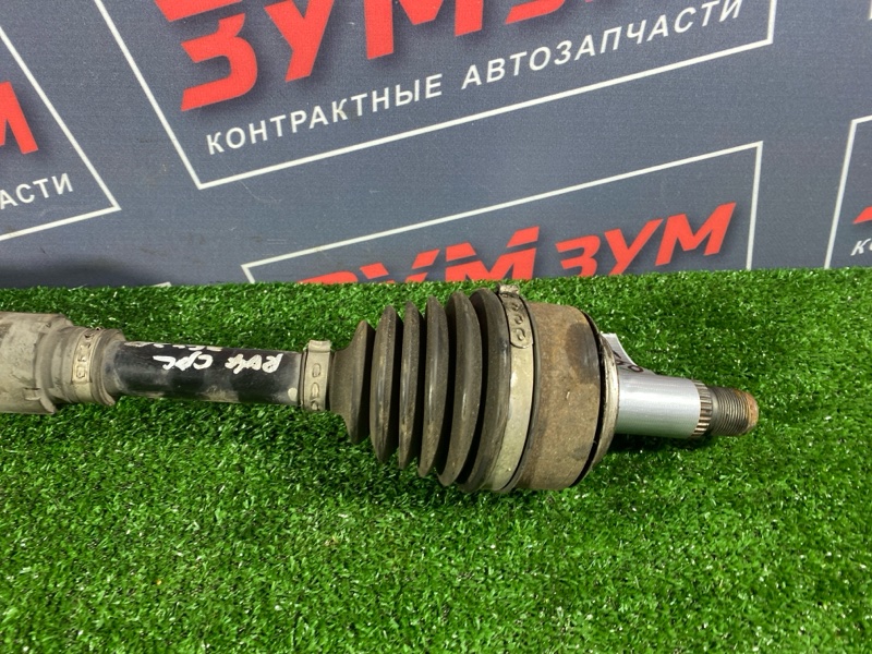 Привод, 12000 рублей, Солонцы