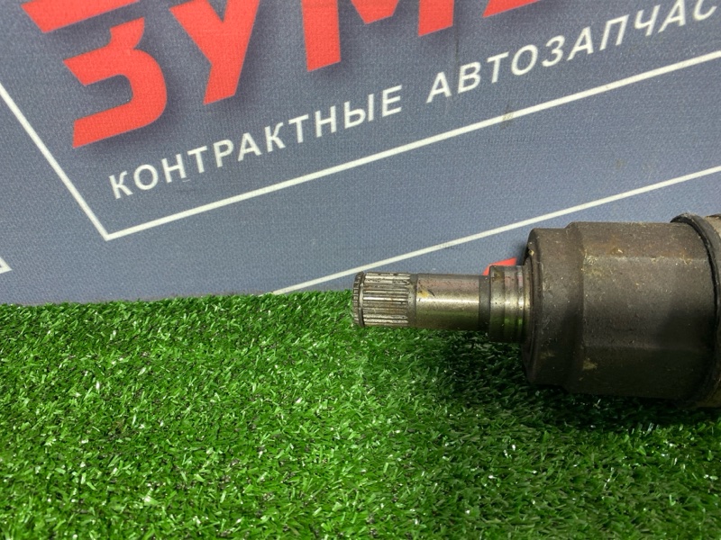 Привод, 5000 рублей, Солонцы