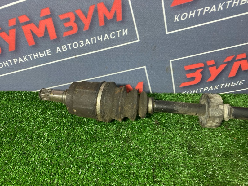 Привод, 5000 рублей, Солонцы