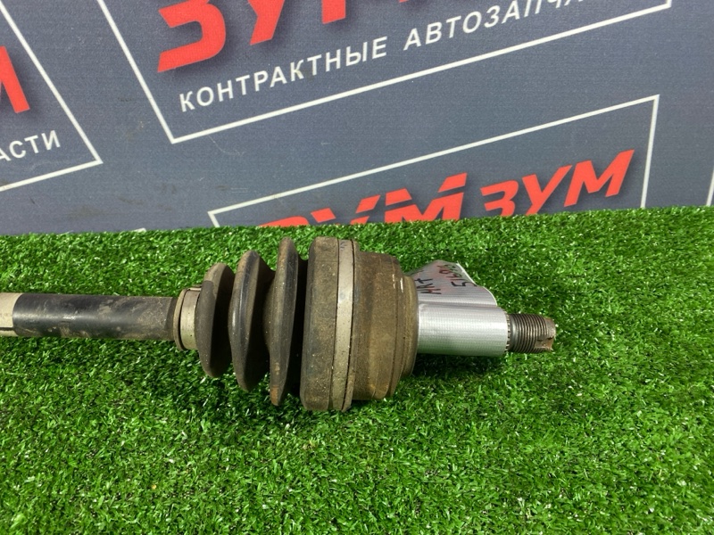 Привод, 5000 рублей, Солонцы