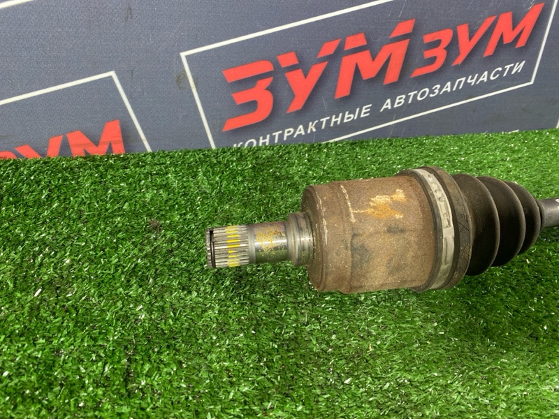 Привод, 5000 рублей, Солонцы