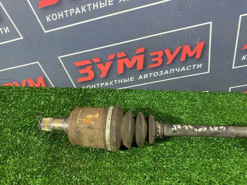 Привод, 5000 рублей, Солонцы