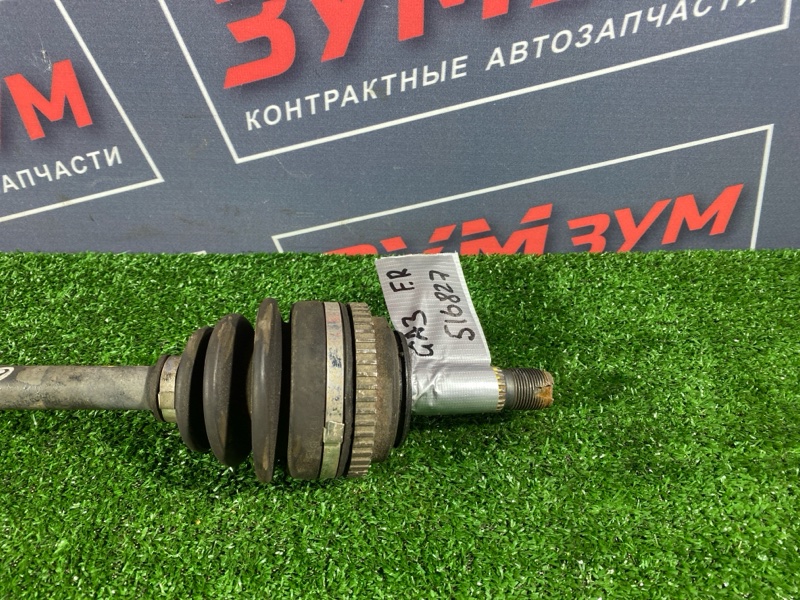 Привод, 5000 рублей, Солонцы