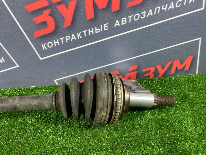 Привод, 8000 рублей, Солонцы